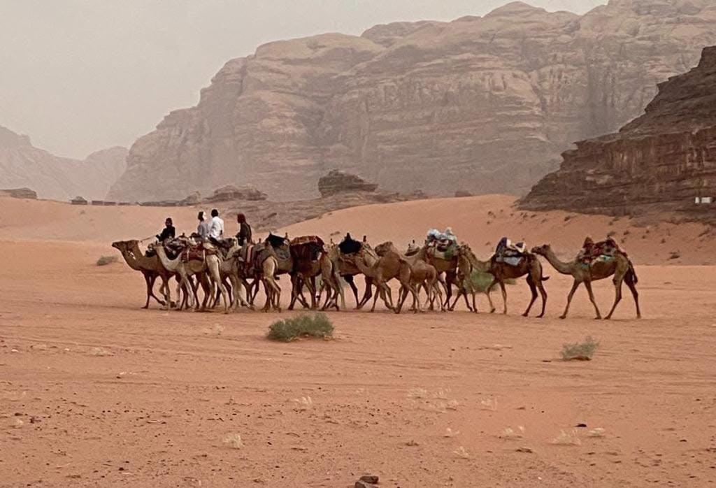 Wadi Rum Trail Екстер'єр фото