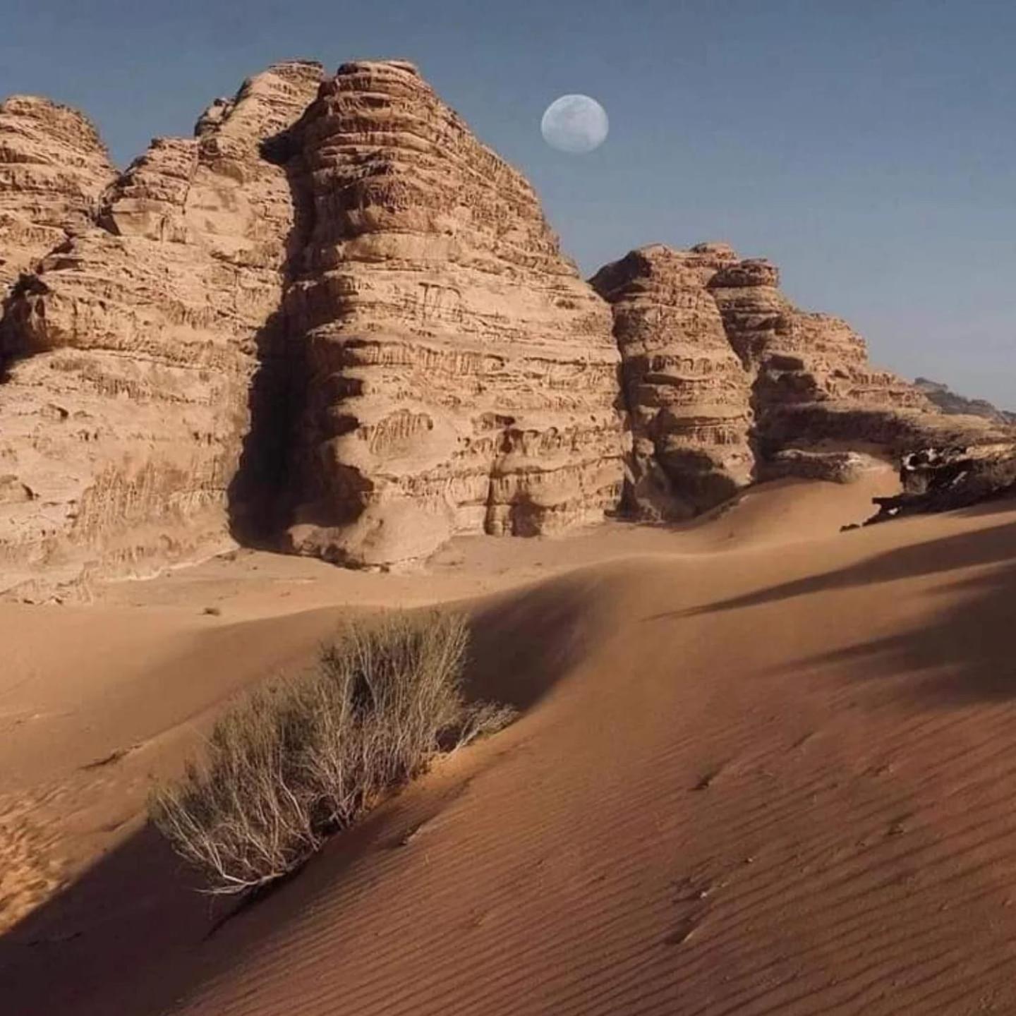 Wadi Rum Trail Екстер'єр фото
